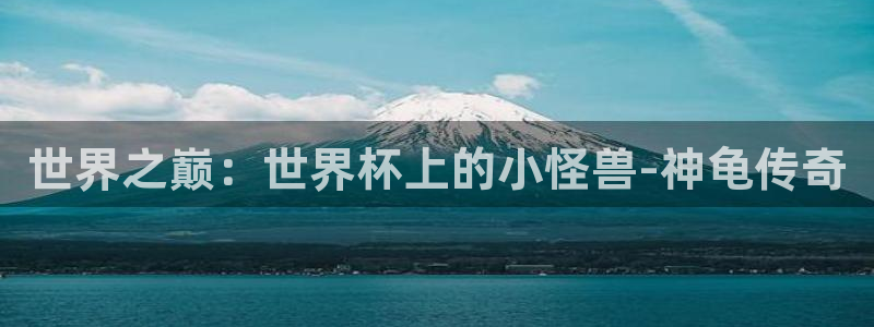 世界杯在线直播：世界之巅：世界杯上的小怪兽-神龟传奇
