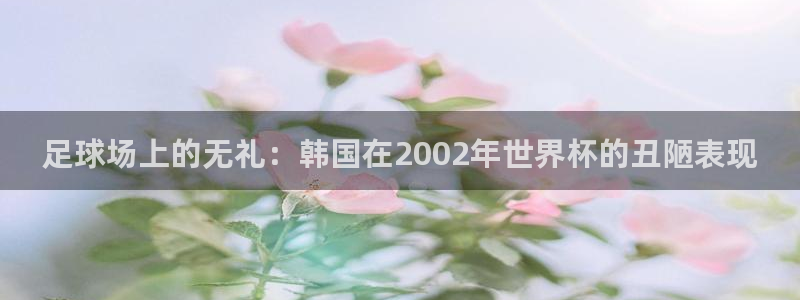 世界杯足球赛2026：足球场上的无礼：韩国在2002年世界杯的丑陋表现