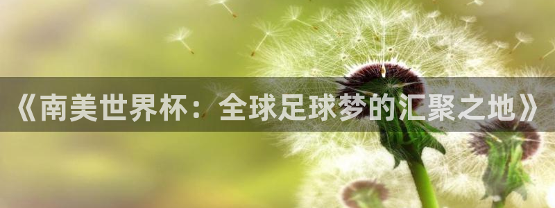 世界杯亚洲区预选赛：《南美世界杯：全球足球梦的汇聚之地》