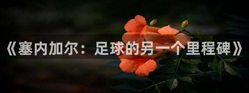世界杯官网：《塞内加尔：足球的另一个里程碑》
