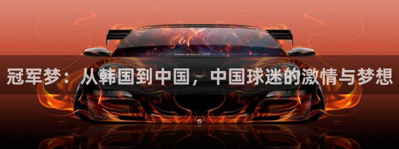 世界杯女足直播：冠军梦：从韩国到中国，中国球迷的激情与梦想