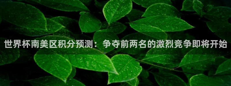 2026年世界杯直播平台：世界杯南美区积分预测：争夺前两名的激烈竞争即将开始