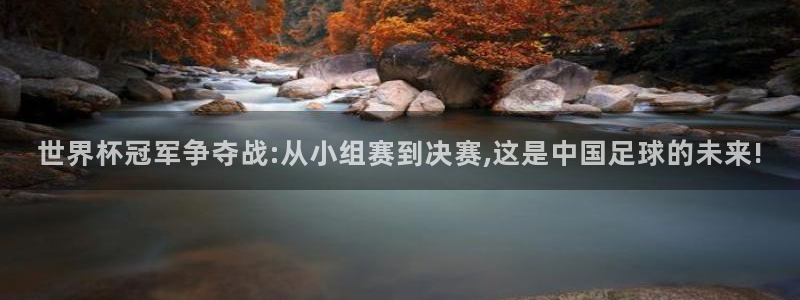世界杯直播在线观看入口：世界杯冠军争夺战:从小组赛到决赛,这是中国足球的未来!