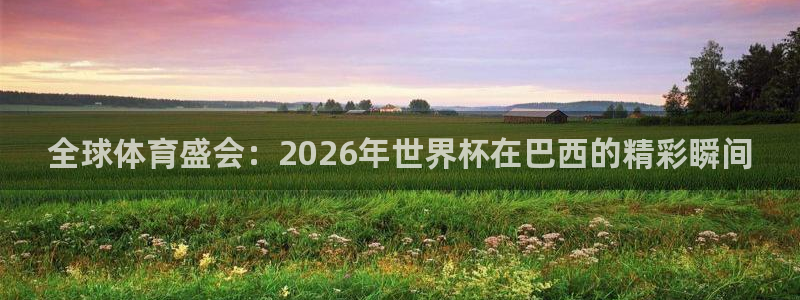 2026世界杯官网：全球体育盛会：2026年世界杯在巴西的精彩瞬间