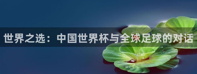 2006年世界杯冠军：世界之选：中国世界杯与全球足球的对话