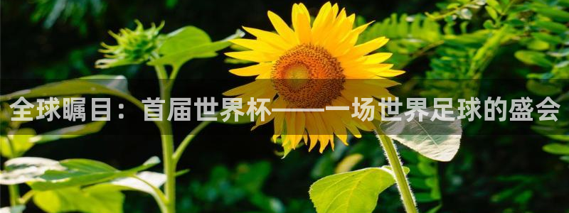2026男足世界杯赛程：全球瞩目：首届世界杯——一场世界足球的盛会