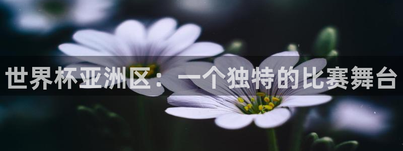 2026世界杯日期：世界杯亚洲区：一个独特的比赛舞台