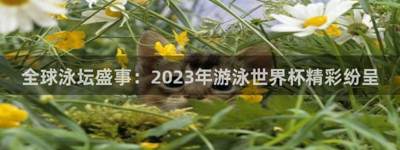 世预赛免费直播入口：全球泳坛盛事：2023年游泳世界杯精彩纷呈