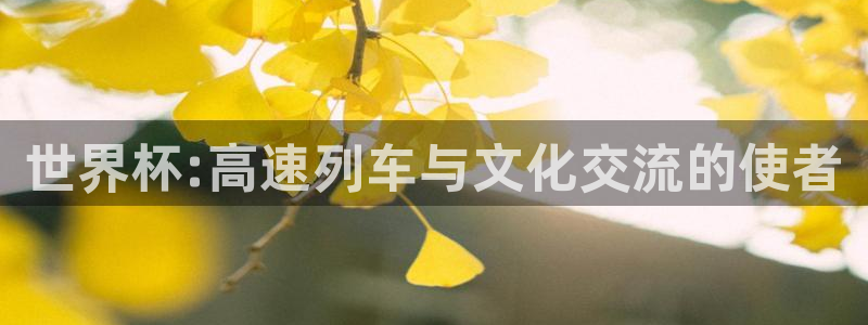 2026世界杯买球：世界杯:高速列车与文化交流的使者