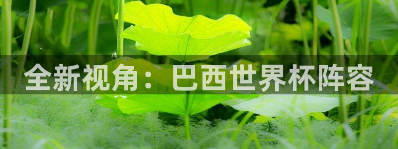 2026世亚预赛赛程表：全新视角：巴西世界杯阵容
