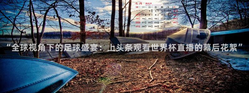 世界杯欧洲区预选赛赛程：“全球视角下的足球盛宴：上头条观看世界杯直播的幕后花絮”